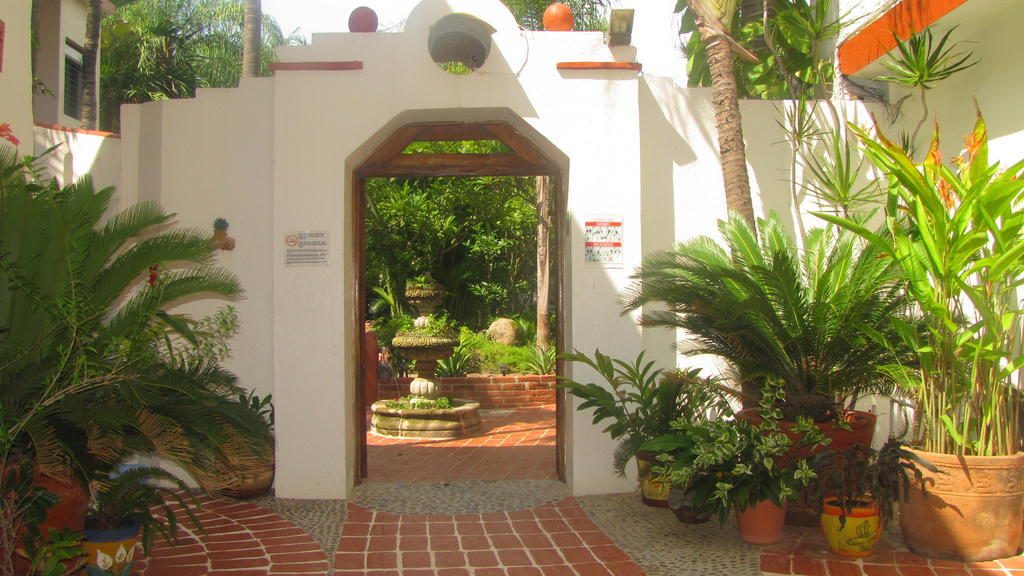Hotel La Paloma Oceanfront Retreat San Patricio Melaque Esterno foto